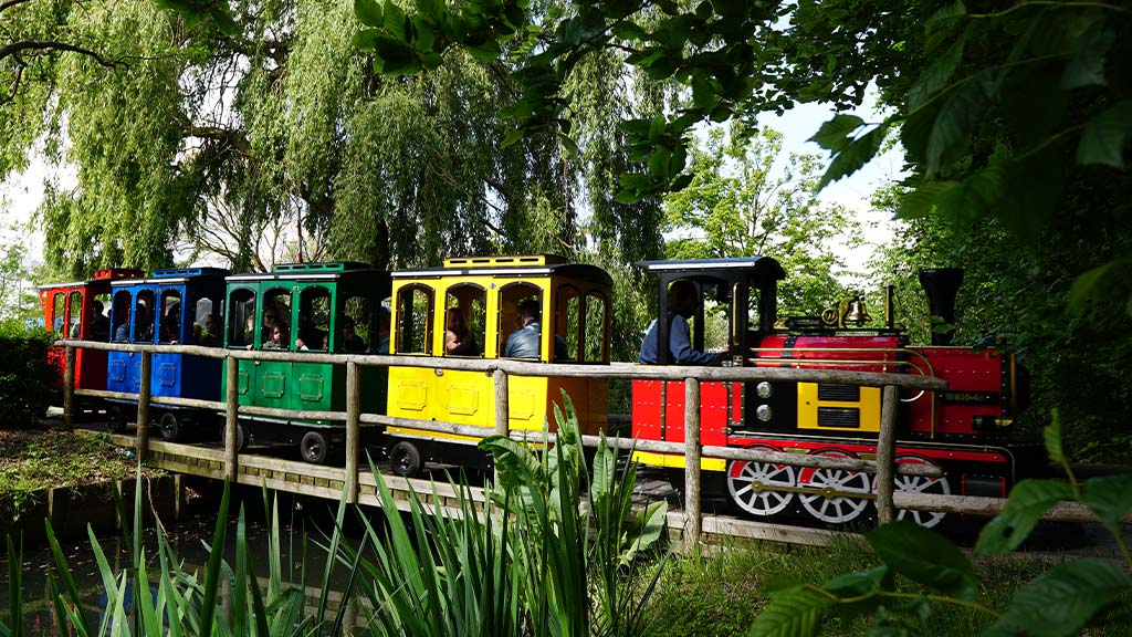 Trackless Maxi Express train operating in a US amusement park with excited riders